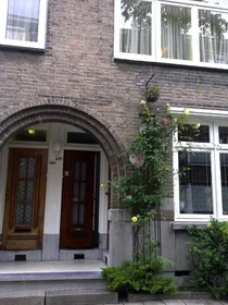 Private room at Harddraverstraat, image 10 of 10