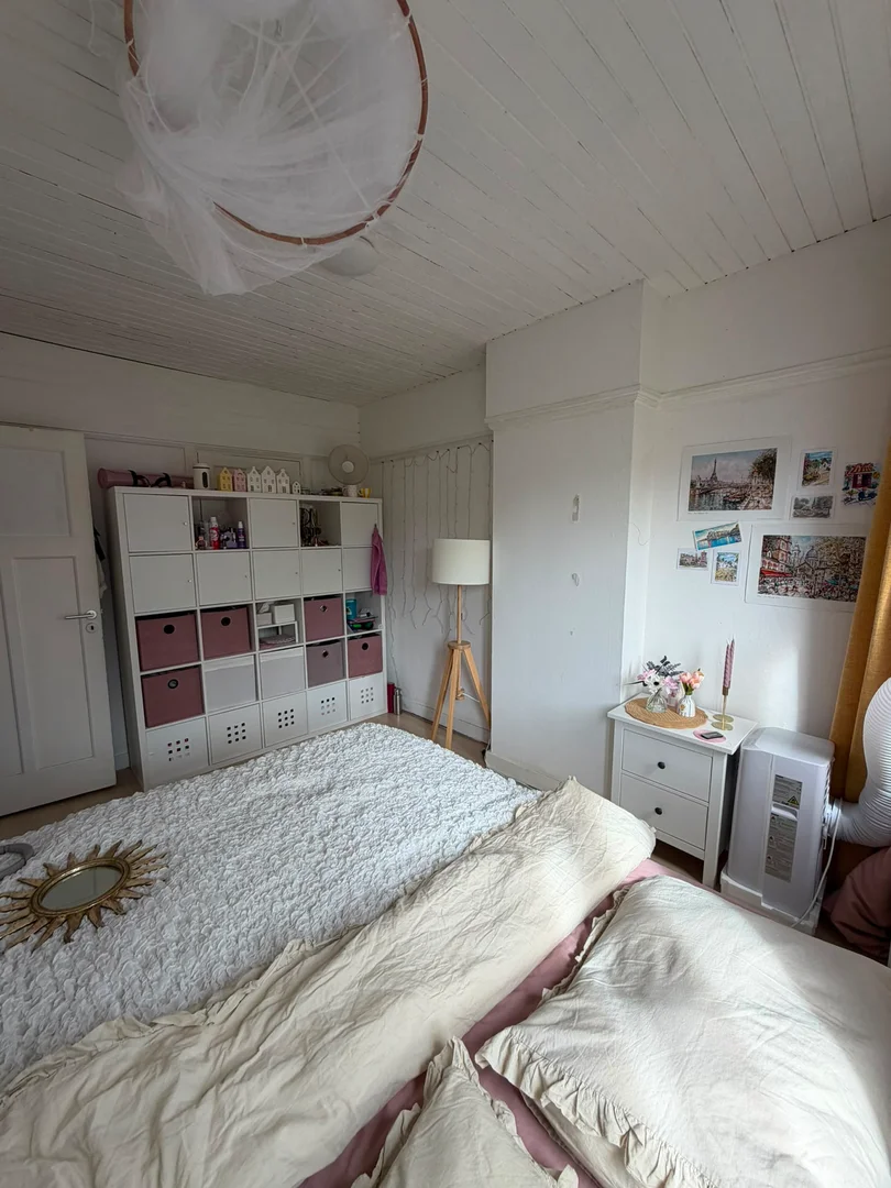 Affordable room for students with ample lighting in 