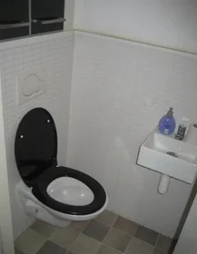 Private room at Paterswoldseweg, image 6 of 9