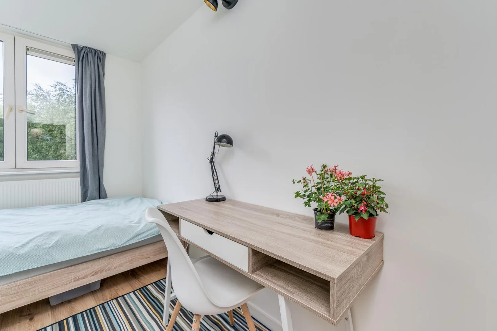 Affordable room for students with ample lighting in 