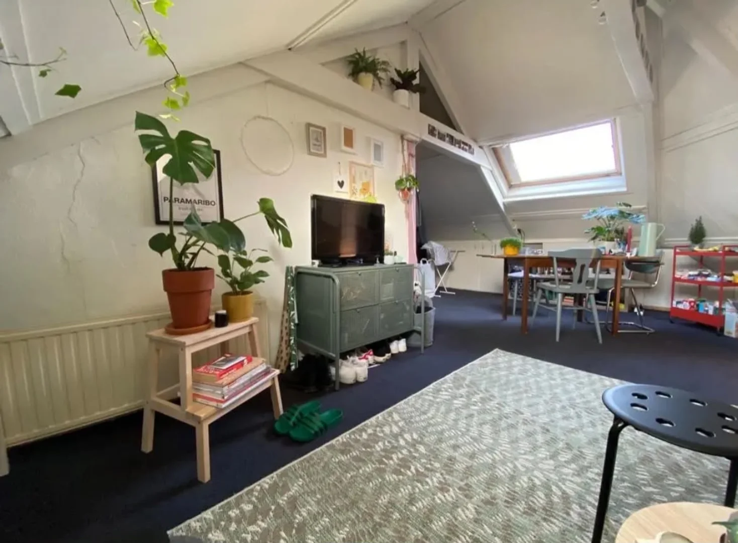 Chambre abordable pour les étudiants avec un bon éclairage dans 