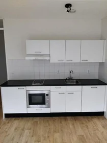 Entire apartment at Fenikshof, image 5 of 9