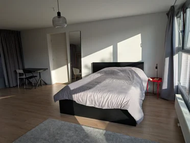 Private room at Leo Fallplantsoen, image 1 of 6