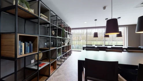 Studio in residence at 126-134 London Rd, Newcastle-under-Lyme, Newcastle ST5 1FJ, United Kingdom, image 15 of 23