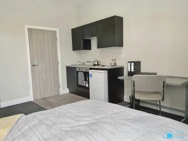 Kawalerka w rezydencji Fenham Hall Drive, Newcastle NE4 9YH., obraz 3 49