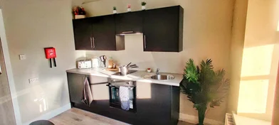 Kawalerka w rezydencji Fenham Hall Drive, Newcastle NE4 9YH., obraz 46 49