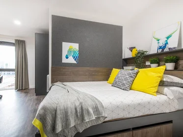 Stanza privata in residence in 10 Moland St, Birmingham B4 7AU, United Kingdom, immagine 14 di 21