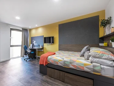 Stanza privata in residence in 10 Moland St, Birmingham B4 7AU, United Kingdom, immagine 21 di 21