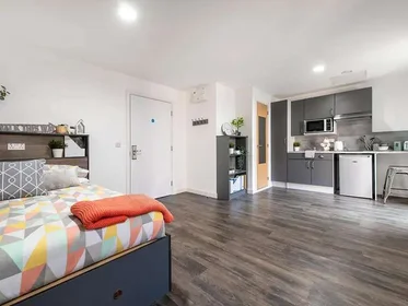 Stanza privata in residence in 10 Moland St, Birmingham B4 7AU, United Kingdom, immagine 4 di 21