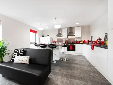 Habitación privada en residencia en Vere St, Cardiff CF24 3DS, United Kingdom, imagen 2 de 20