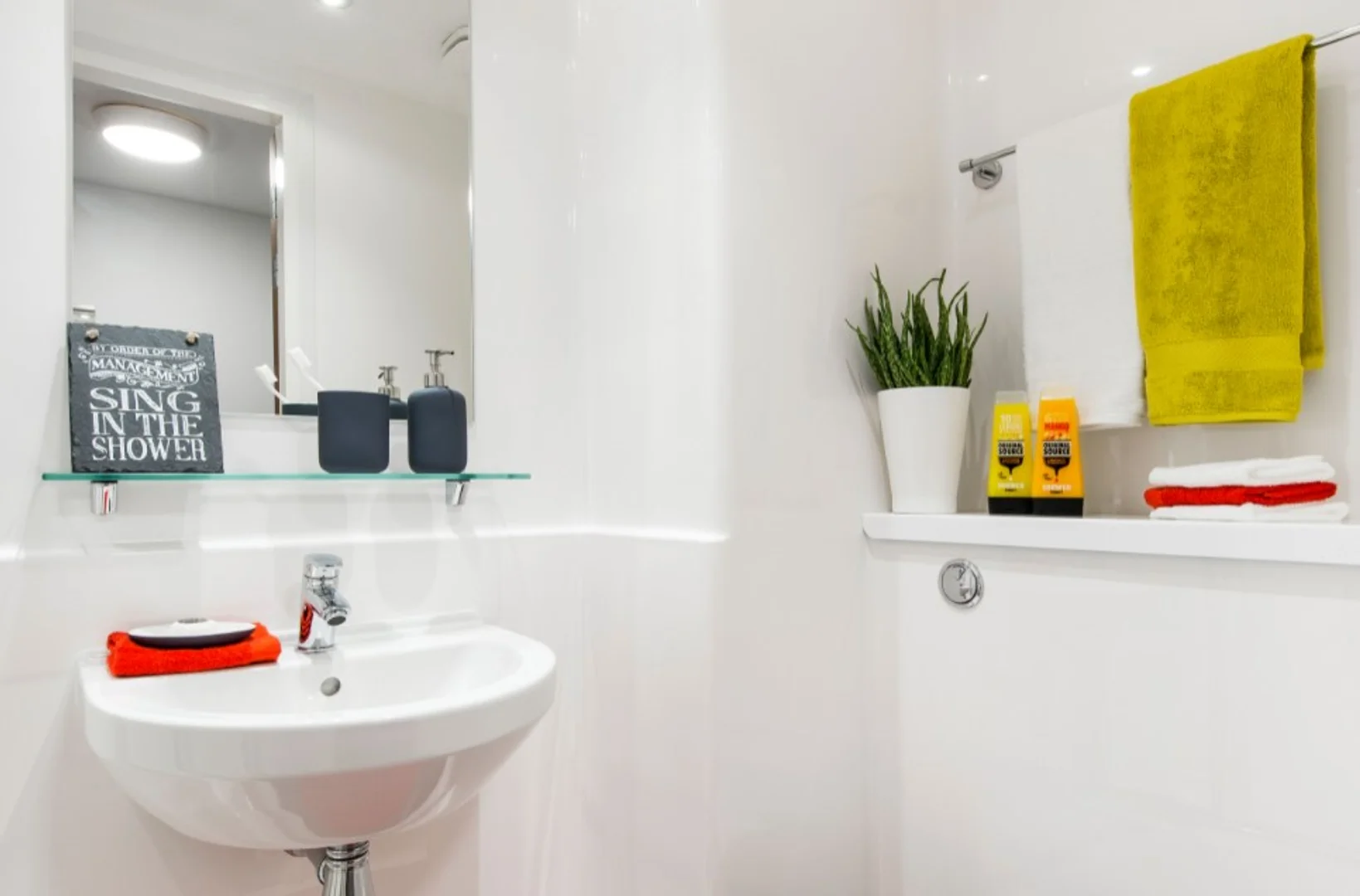 Habitación acogedora para estudiantes disponible en 