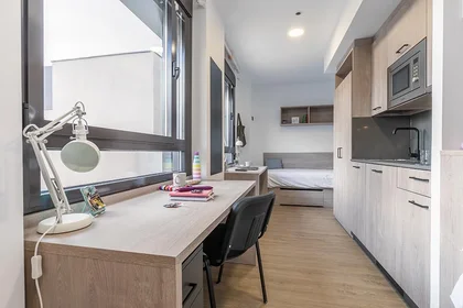 Mehrbettzimmer im Wohnheim in der Calle Sinesio Delgado, 13, bild 2 von 17