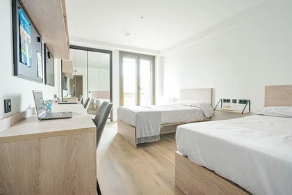 Habitación compartida en residencia en Oviedo, imagen 1 de 13