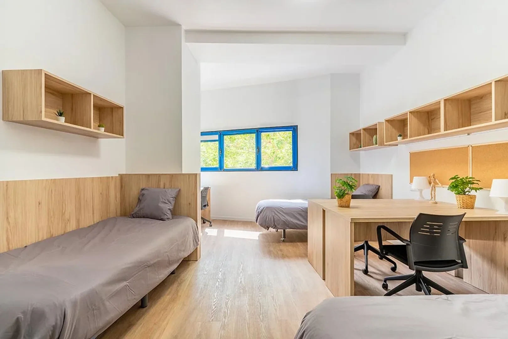 Affordable room for students with ample lighting in 