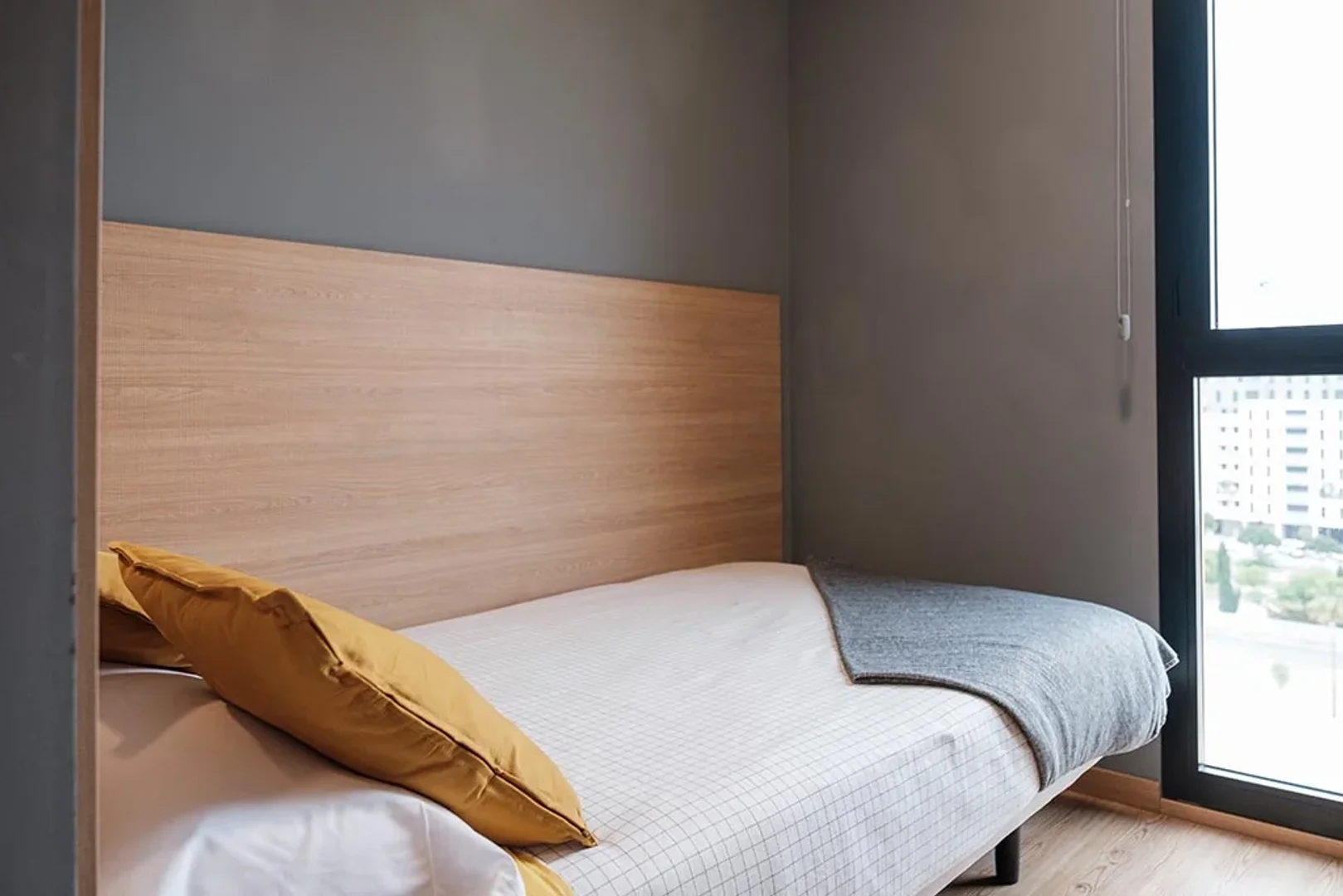 Affordable room for students with ample lighting in 