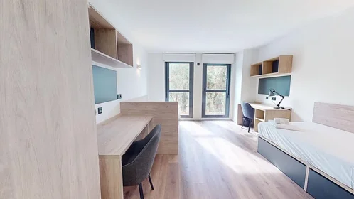 Habitación compartida en residencia en Calle Mariano Aser, 15, imagen 1 de 15