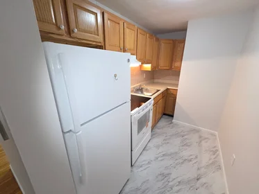 Apartamento inteiro em residência em 10, Coffey St., Unit 11, Dorchester, Boston, MA, 02122, imagem 16 de 18