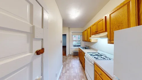 Apartamento inteiro em residência em 1368, Commonwealth, Unit 6, Allston, Boston, MA, 02134, imagem 11 de 15