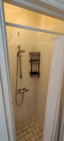 Privatzimmer in der Van Swietenstraat, bild 8 von 10