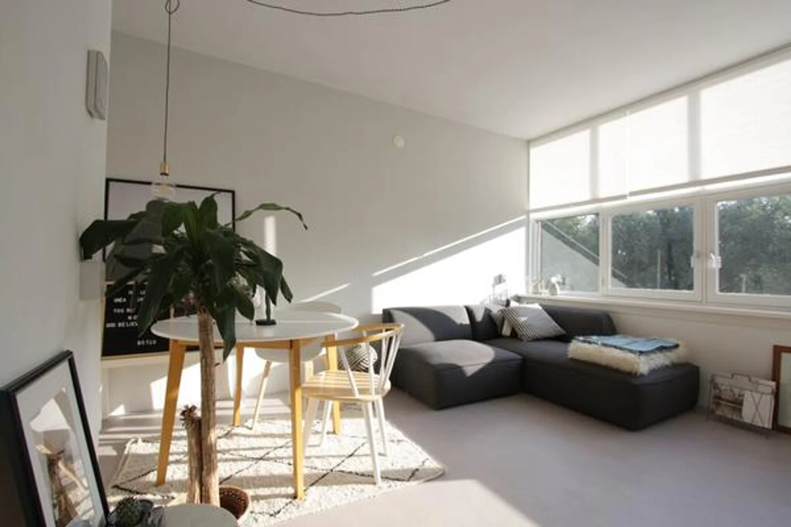 'de etkili düzene sahip minimalist öğrenci stüdyosu