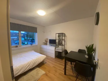 Stanza privata in Goudlaan, immagine 2 di 6