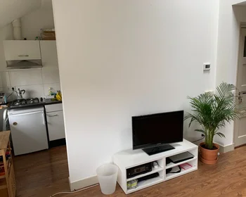 Entire apartment at Lessinglaan, image 8 of 10