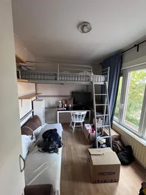 Stanza privata in Petrus Campersingel, immagine 3 di 3