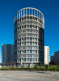 Studio im Wohnheim in der Porto, bild 7 von 17