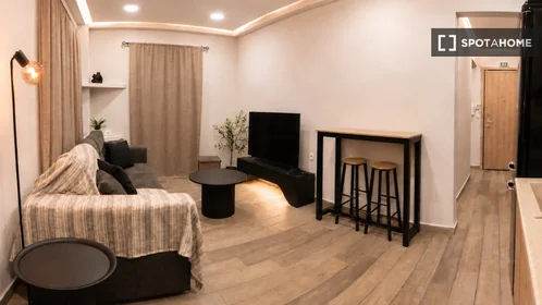 Logement entier à Petropoulakidon, image 2 de 19