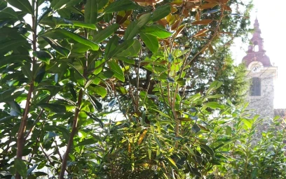 Apartamento inteiro em Vodnikova cesta 2, imagem 13 de 13
