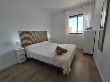 Gesamte Unterkunft in der AV PLAYA HONDA, bild 21 von 40