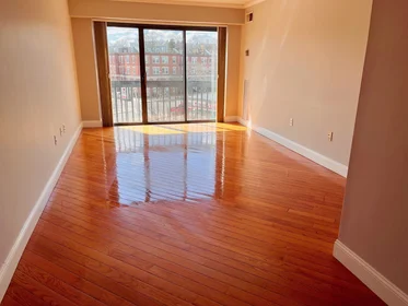 Apartamento inteiro em residência em 15, North Beacon St., Unit 417, Brighton, Boston, MA, 02134, imagem 3 de 17