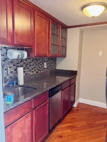 Apartamento inteiro em residência em 15, North Beacon St., Unit 417, Brighton, Boston, MA, 02134, imagem 5 de 17