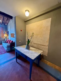 Gesamte Unterkunft in der Borgo San Jacopo, bild 16 von 26
