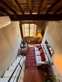 Gesamte Unterkunft in der Borgo San Jacopo, bild 21 von 26
