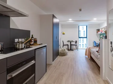 Habitación compartida en First Way, Wembley HA9 0JD, United Kingdom, imagen 42 de 49