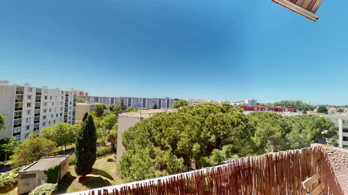Prywatny pokój Résidence la Treille Bâtiment A, 810 Av. de Maurin, 34070 Montpellier, France, obraz 6 20