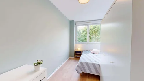 Chambre privée à 65 Rue de St Cyr, 69009 Lyon, France, image 1 de 10
