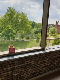Stanza privata in Wijnesteinlaan, immagine 6 di 6