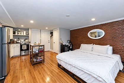 Logement entier en résidence à 50, Montgomery St., Unit 1, South End, Boston, MA, 02116, image 16 de 17
