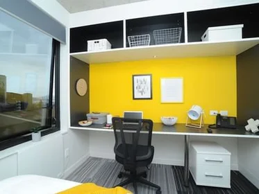 Estudio en residencia en 5 Whitaker Place, Grafton, Auckland 1010, New Zealand, imagen 26 de 34