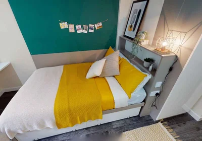 Stanza privata in residence in 6-18 High St, Bangor LL57 1NP, United Kingdom, immagine 1 di 21