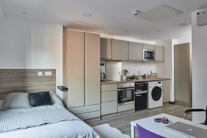 Prywatny pokój w rezydencji Coppergate, 17–18 The Kingsway, Swansea SA1 5JZ, United Kingdom             , obraz 25 38