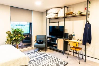 Studio in residence at Lido Rd, Guildford GU1 1FQ, United Kingdom, image 5 of 40