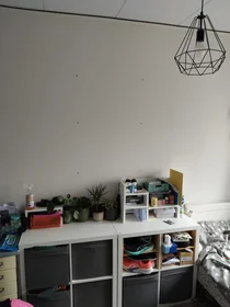 Stanza privata in Bijenhofstraat, immagine 1 di 4