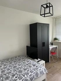 Private room at Ruys de Beerenbrouckstraat, image 5 of 10