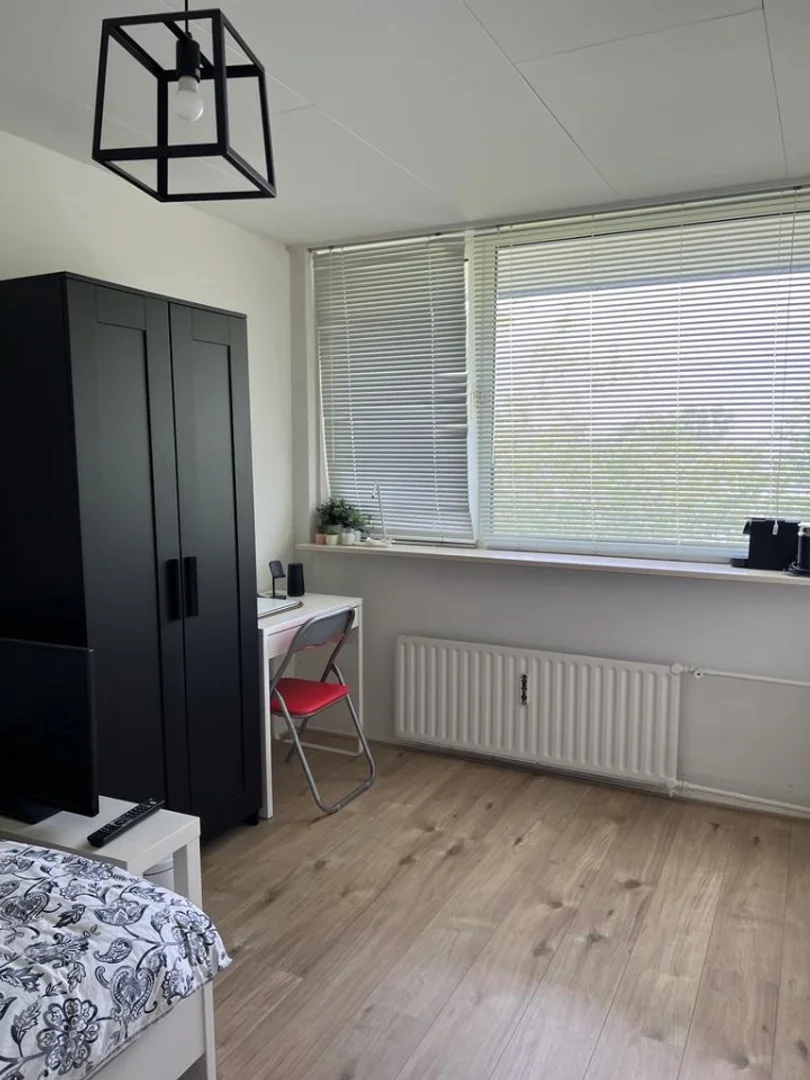 Affordable room for students with ample lighting in 