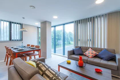 Habitación privada en 52 Islington, Liverpool L3 8LG, United Kingdom, imagen 1 de 10