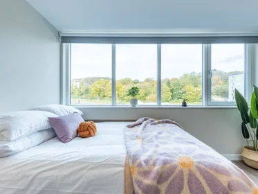 Monolocale in residence in 56 Brown St, Dundee DD1 5EJ, United Kingdom, immagine 6 di 32