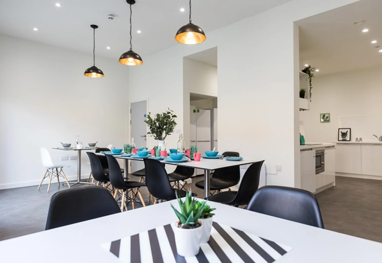Zimmer in Studentenwohnung in zu vermieten, voll möbliert